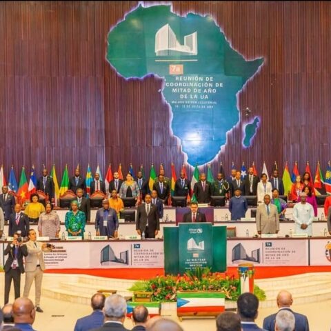 African Union ECOSOCC