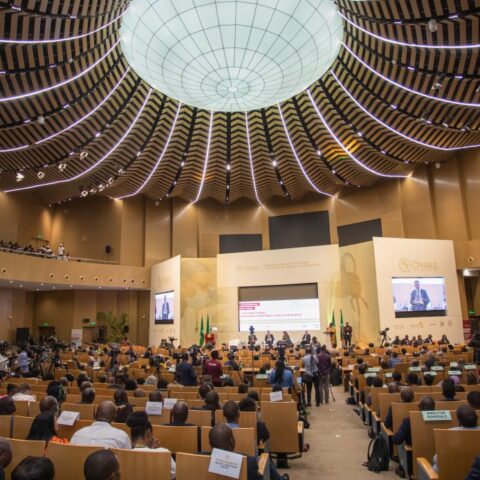 the Africa CDC International Conference on Public Health in Africa (CPHIA)